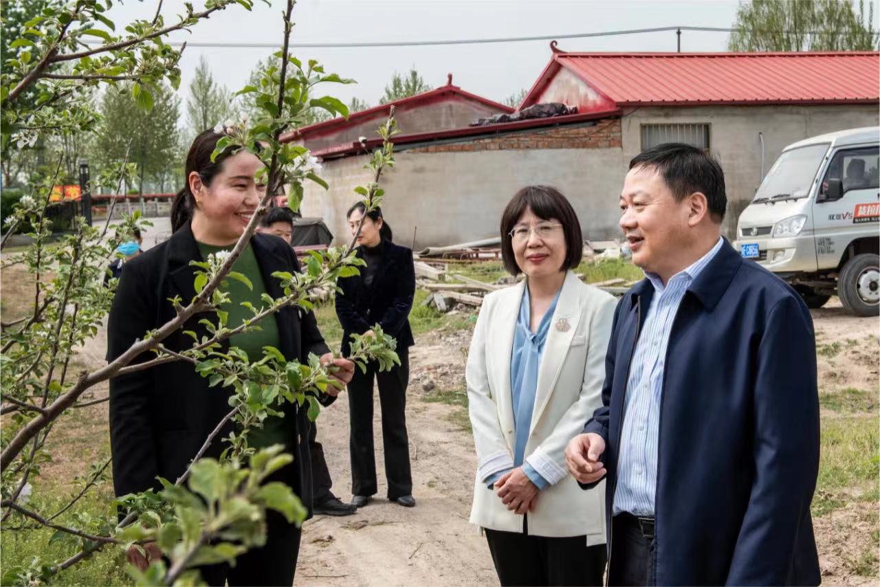 164612-631104.jpg 164612-631104.jpg