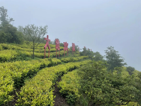 165029-651156.png 1686214221.png