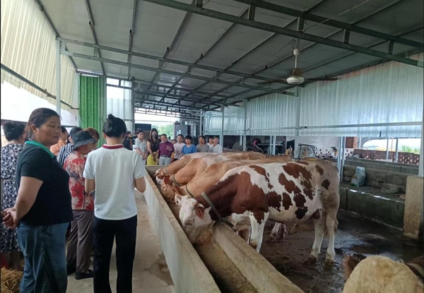 173509-122713.jpg 2_愛奇藝.jpg