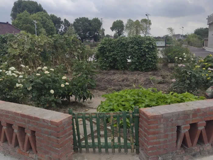 055659-649607.jpg 3.jpg